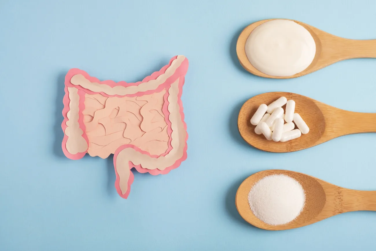 Redefining Digestion: Unpacking The Top Probiotic Supplements for Gut Health