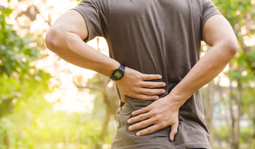 Best Clinical Studies for Back Pain Management
