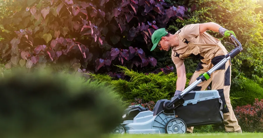 Affordable Lawn Care Services Starting At $19