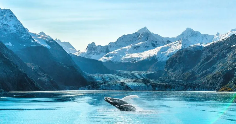 Explore Alaska’s Untamed Wilderness with Bering Sea Cruises