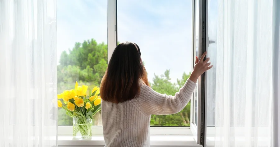 How Energy-Efficient Windows Enhance Style and Reduce Bills