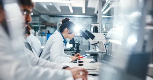 How Custom Antibody Services Advance Research Goals