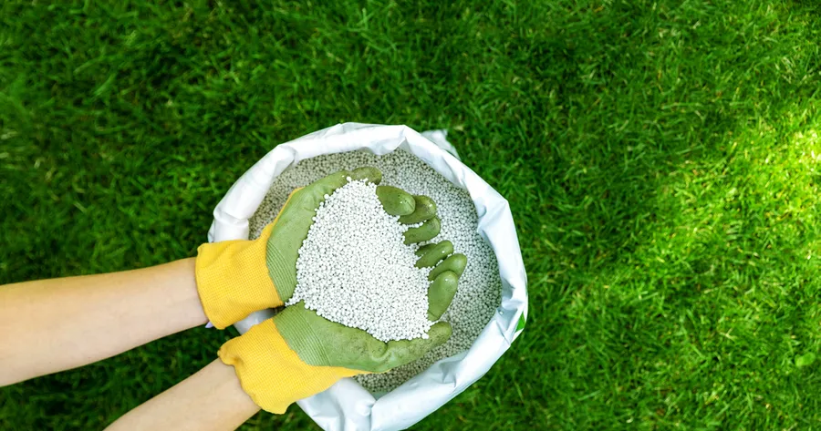 How To Prepare Your Lawn and Landscaping for Summer Heat