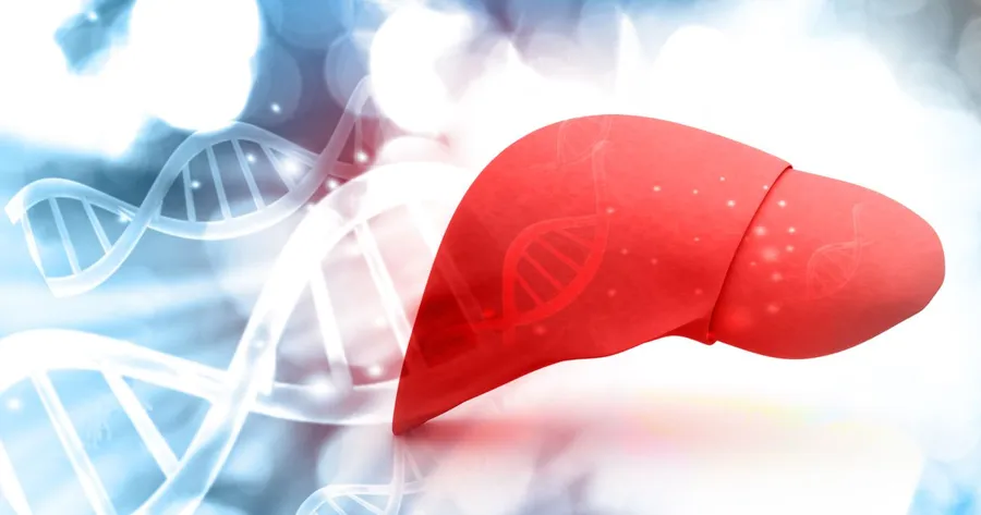 Understanding the Risk Factors and Symptoms of Liver Cancer