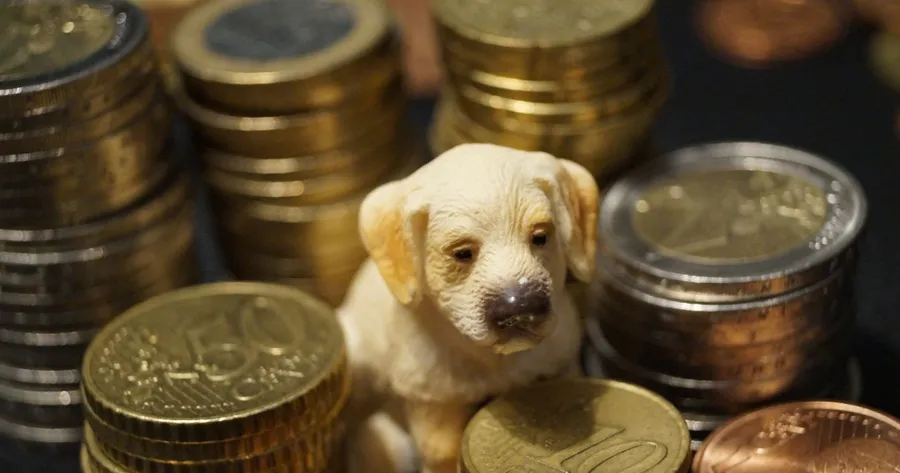 Can I Afford to Keep My Pet?