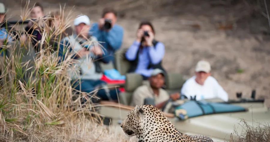 The 5 Best African Safaris