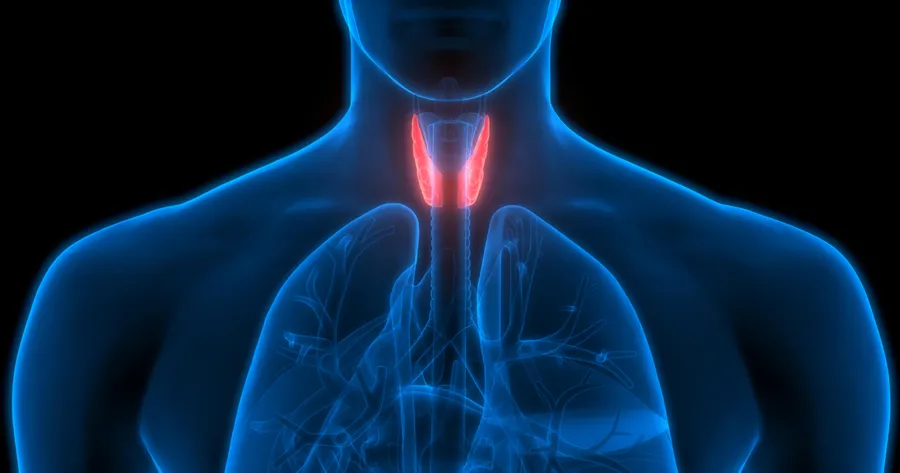 Signs and Symptoms That Could Be Thyroid Cancer