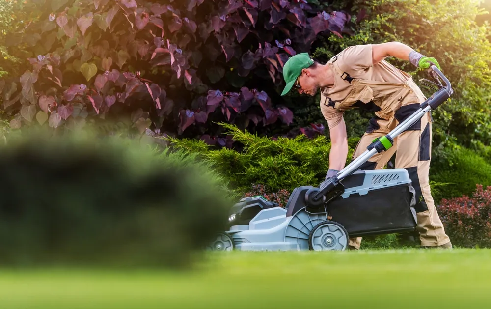 Lawn Care: Why You Should Hire a Pro