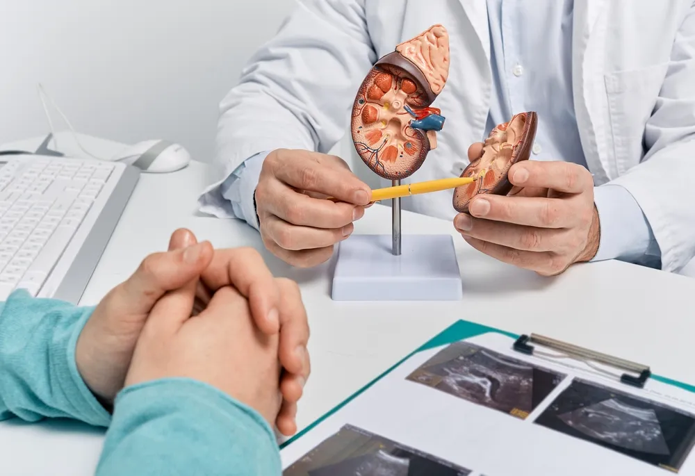 Effective Kidney Failure Treatment Options