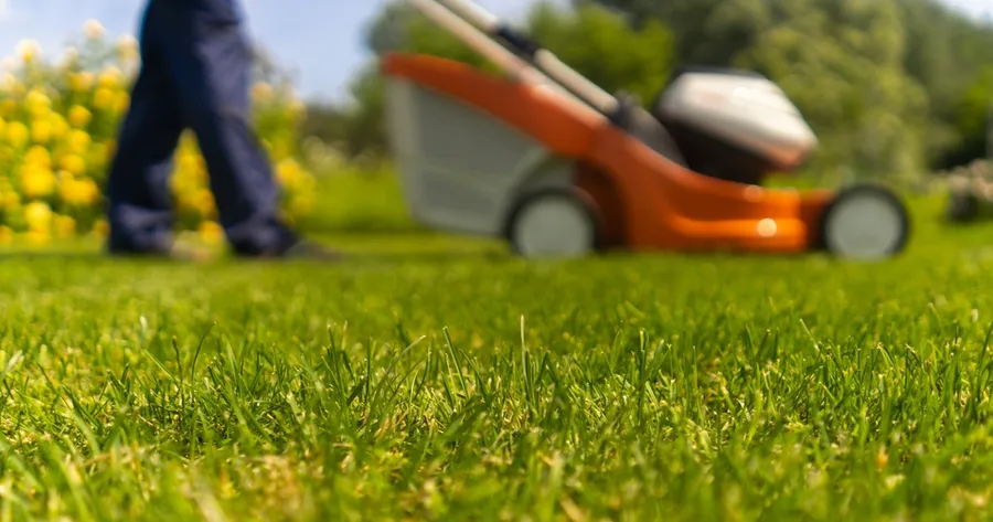 Low-Cost Lawn Mowing Services Near Me