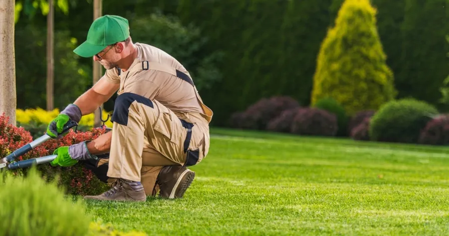 Customized Landscaping Services for Seniors: Safety, Accessibility, and Beauty