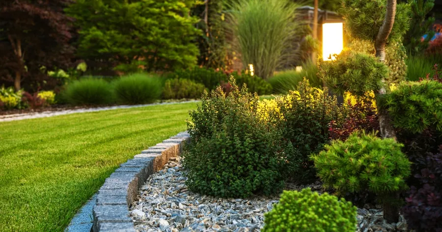Low-Maintenance Landscaping Ideas for Busy Homeowners