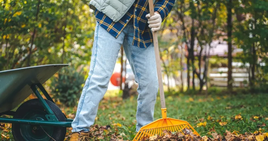 Preparing Your Garden for Winter: Essential Steps for a Thriving Spring