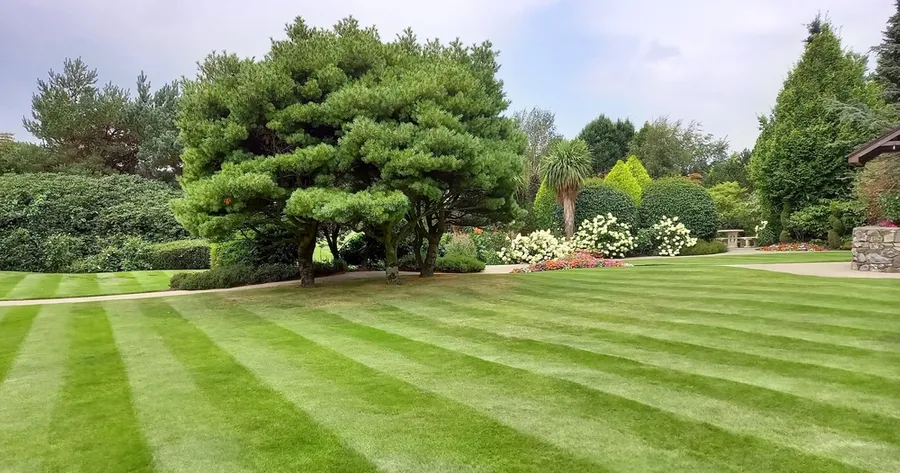 Year-Round Lawn Care: Seasonal Tips to Keep Your Grass Green and Healthy