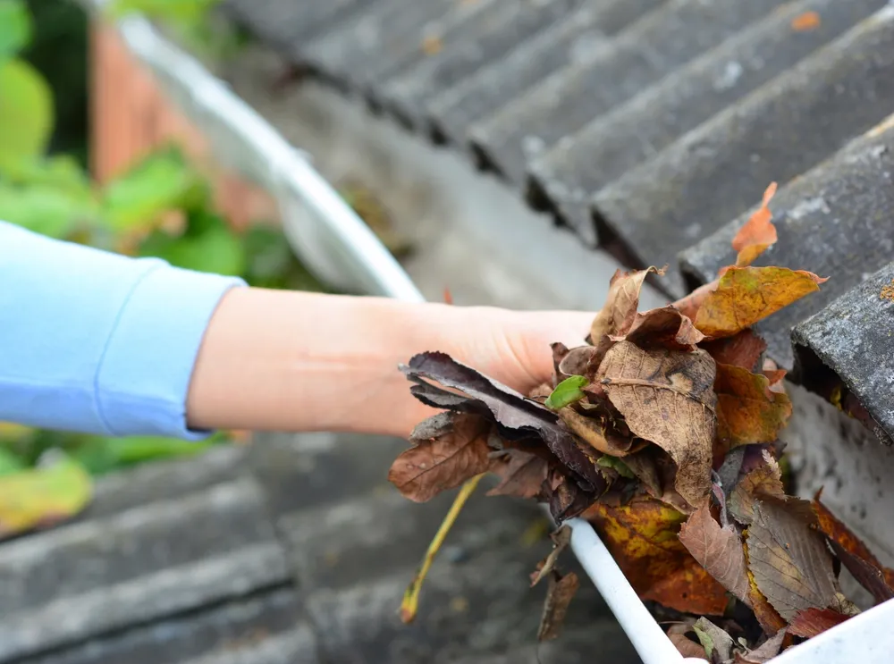 Ensuring Protection and Longevity: The Essential Benefits of Gutter Cleaning