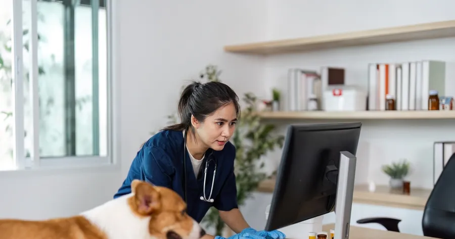 Top Career Options For Animal Lovers