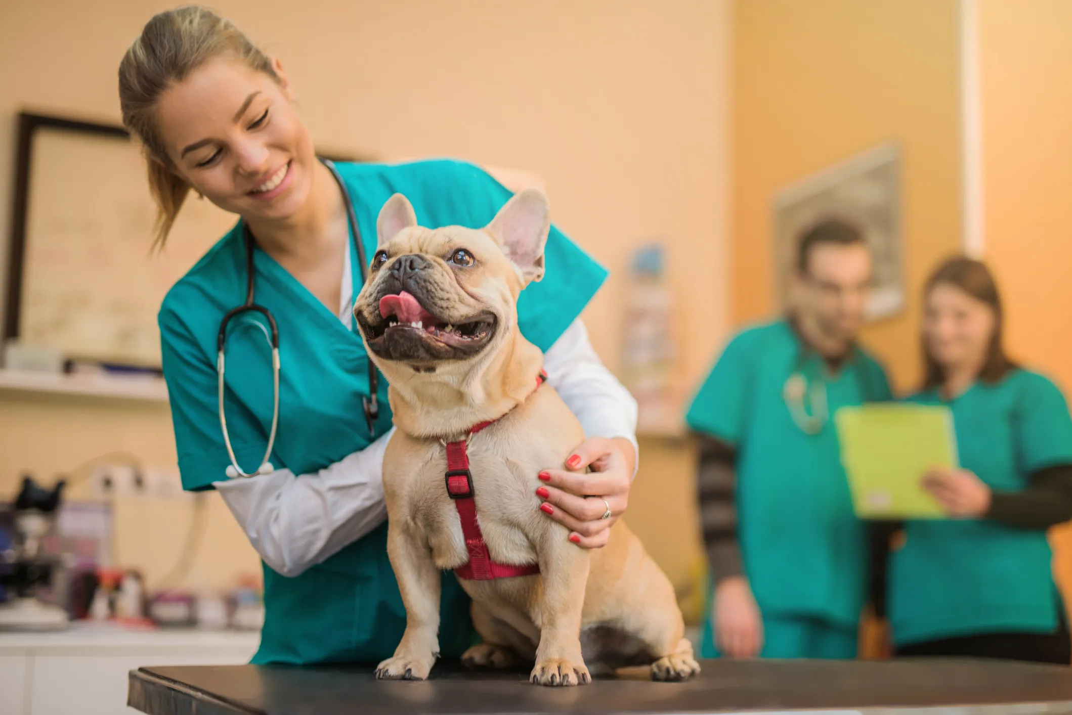 Is Pet Insurance Worth Buying?