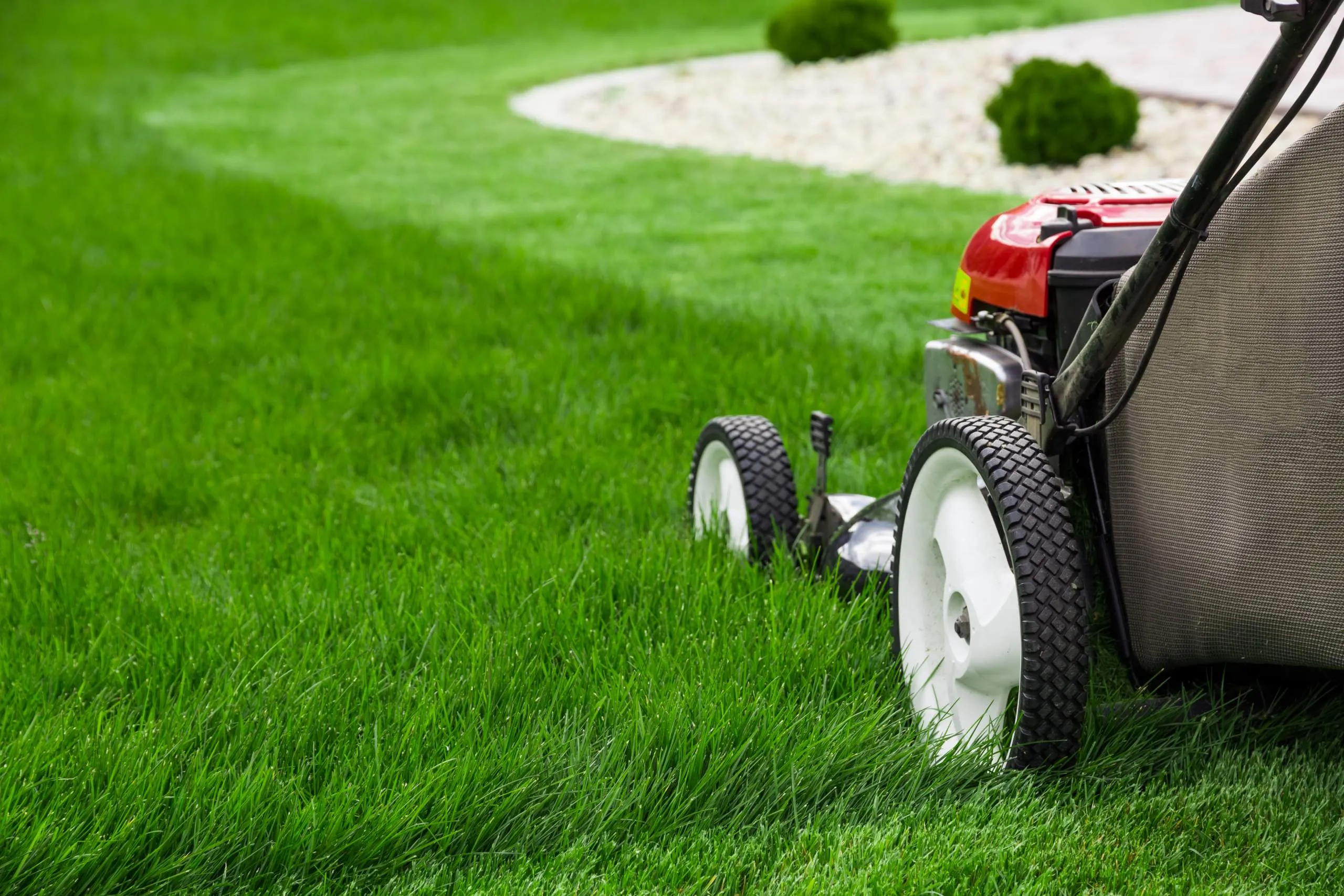 What’s the Best Way to Find Affordable Lawn Care?