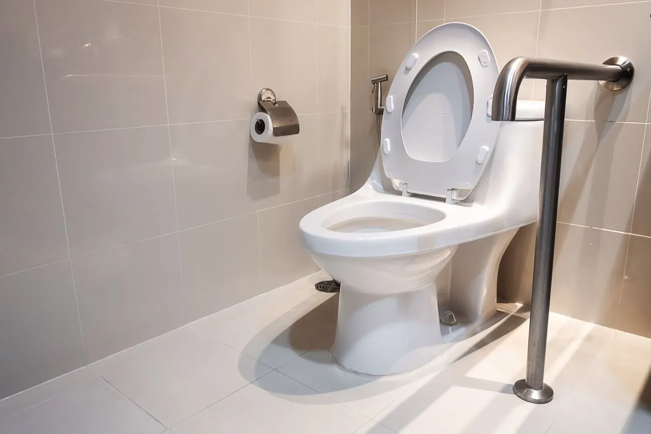 What Are the Best High Toilets for Seniors?