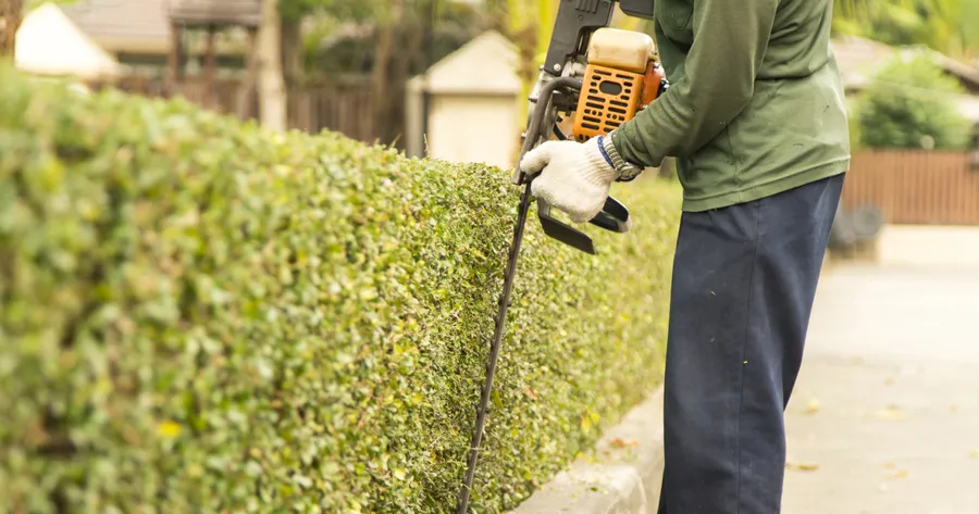 The Importance of Hedge Trimming – Curb Appeal, Safety, and Plant Health