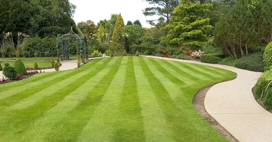 The Benefits of Hiring Professional Lawn Care Services
