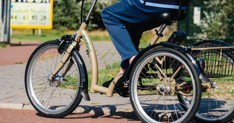 Electric Trikes for Seniors: Empowering Seniors with Mobility and Wellness