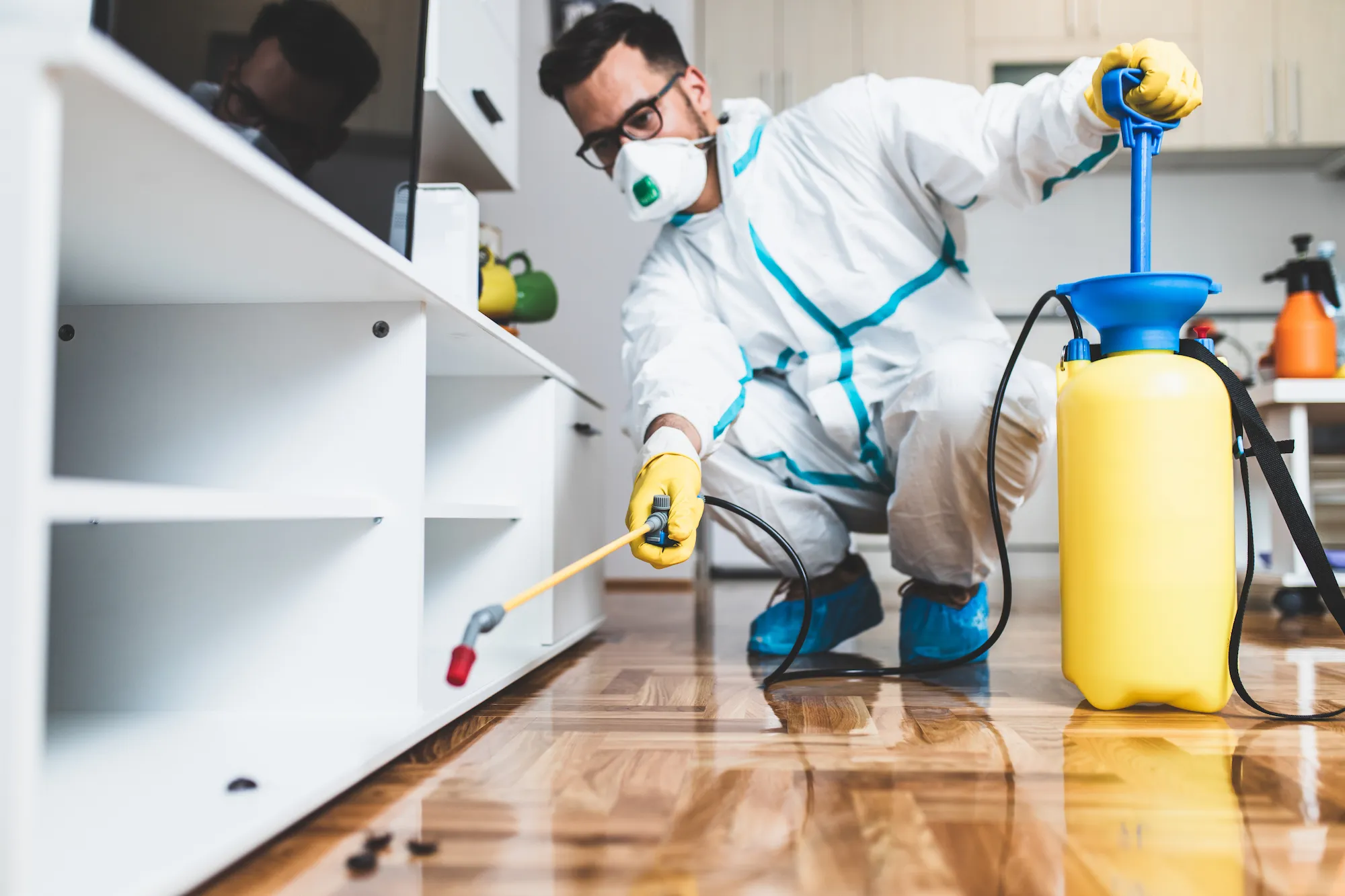 Protecting Your Space: The Essential Benefits of Pest Control