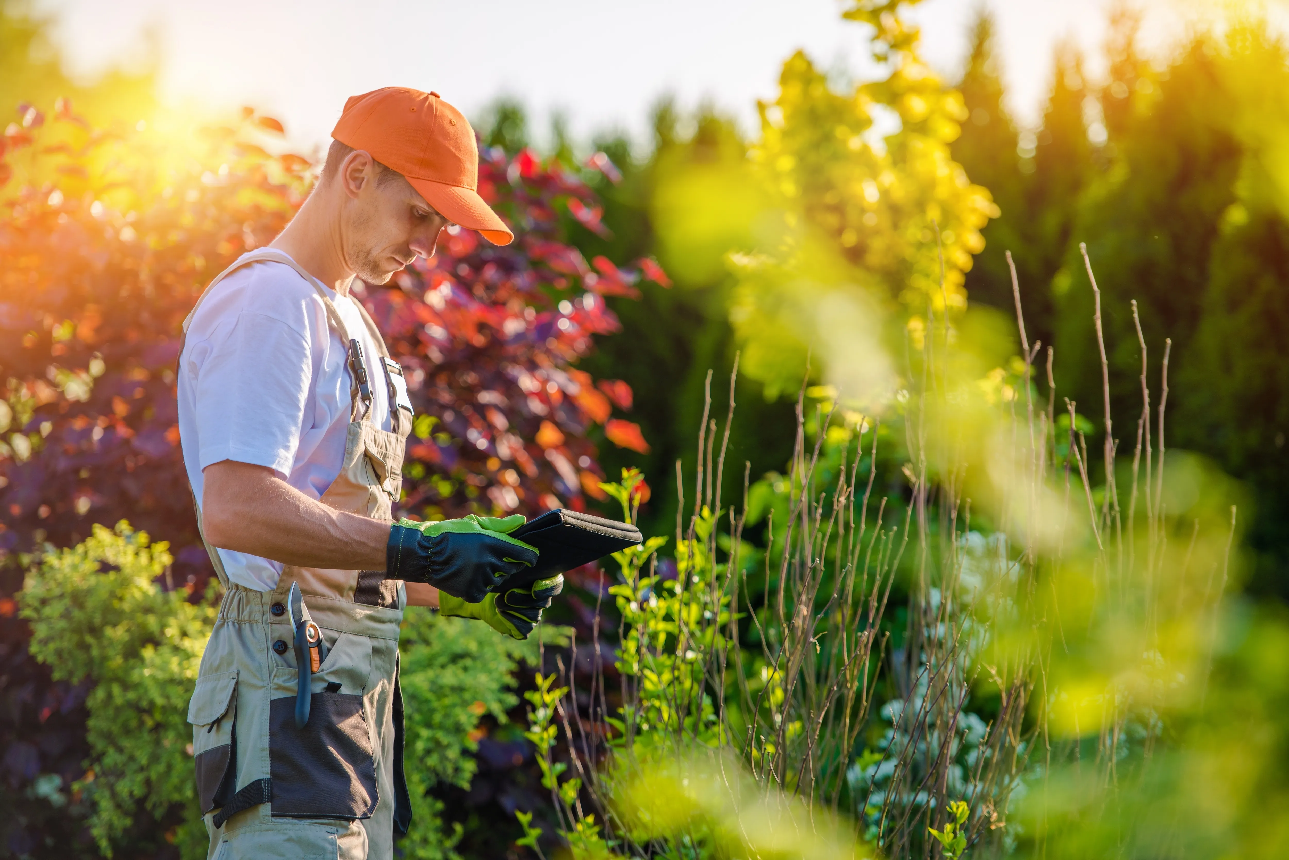 Landscaping Services To Enhance Your Property in Every Season