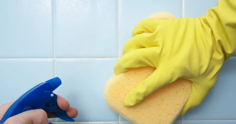 What Are the Best Shower Cleaning Products?