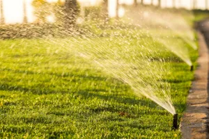 sprinkler on lawn