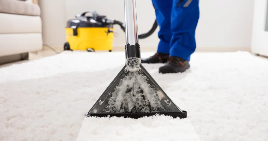 Here’s How You Can Save Money on Carpet Cleaning