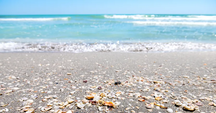 Sanibel Island: Reasons to Visit, Activities, and Budget-Friendly Stays