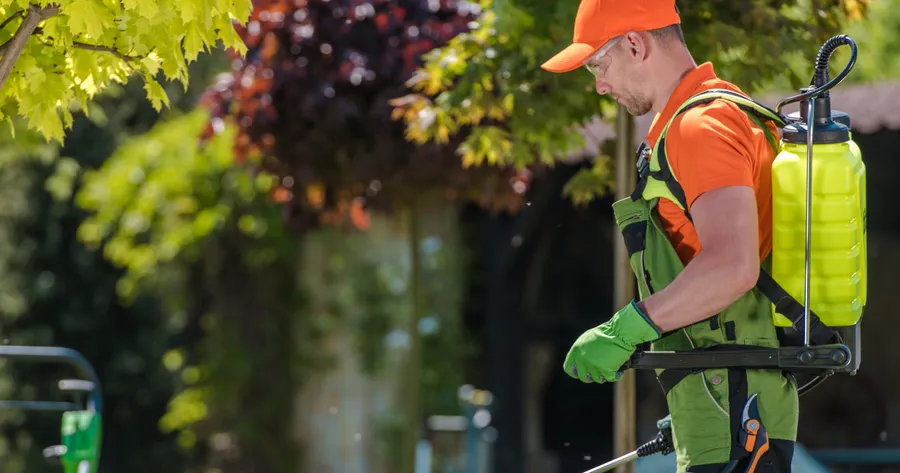 The Best Way To Treat A Weed Infested Lawn