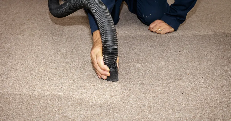 Carpet Care 101: Affordable Ways to Reverse Water Damage and Restore Its Look