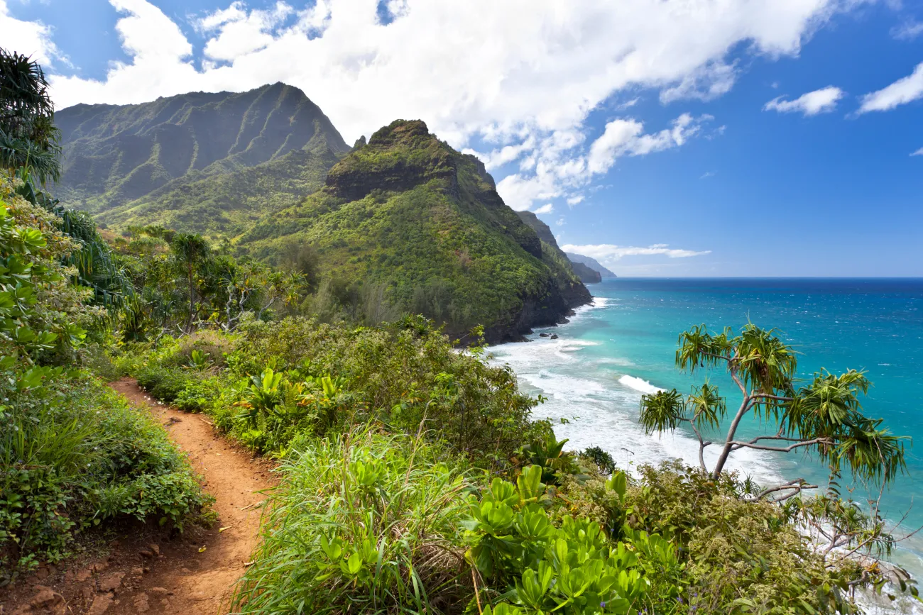 Most Affordable Hawaii Trip Packages Topic Insight