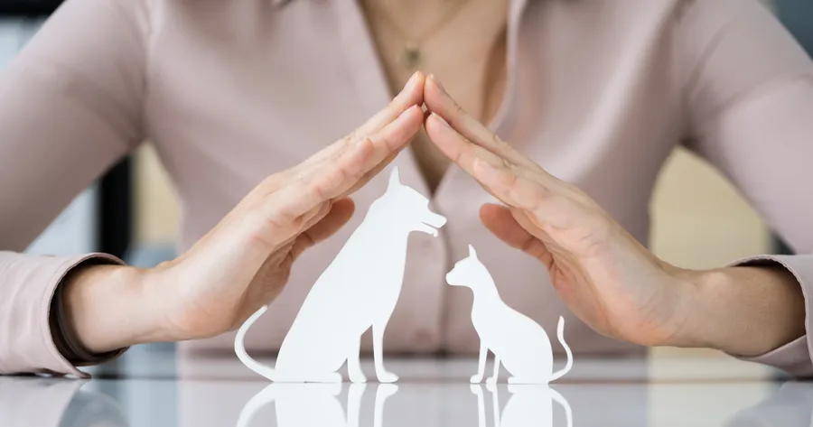 Budget-Friendly Pet Protection: Guide to Low-Cost Pet Insurance Options