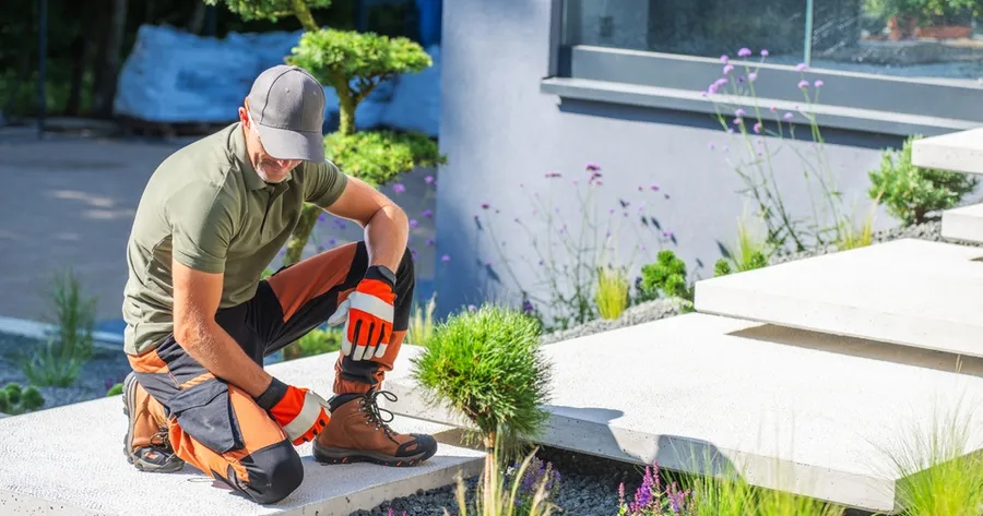 Smart Landscaping Tips That Save Water and Money