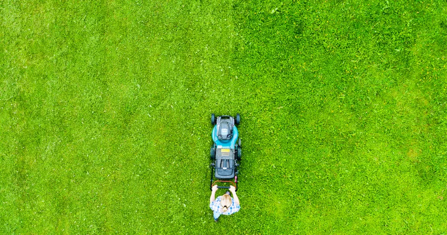 How To Score The Best Deal On a Local Lawn Care Service This Summer