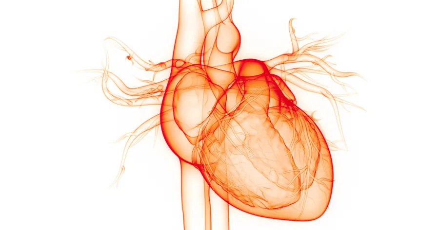 Atrial Fibrillation – Treatment And Prevention Explained