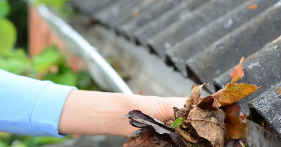 Here’s How To Clean Your Gutters