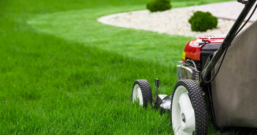 Lawn Care: How Much Should You Be Paying in 2024?