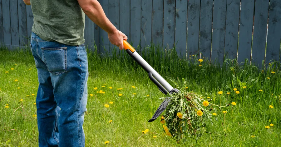 Common Lawn Care Mistakes and How to Avoid Them