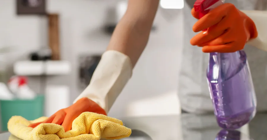 Hiring Maid Services: How to Find Trustworthy and Reliable Help