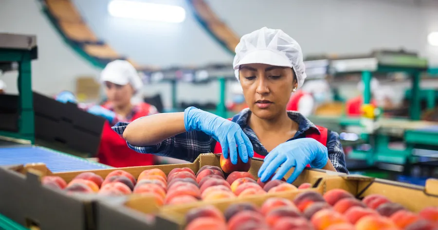 Food Packing Jobs: Flexible Work, Easy Entry, High Demand