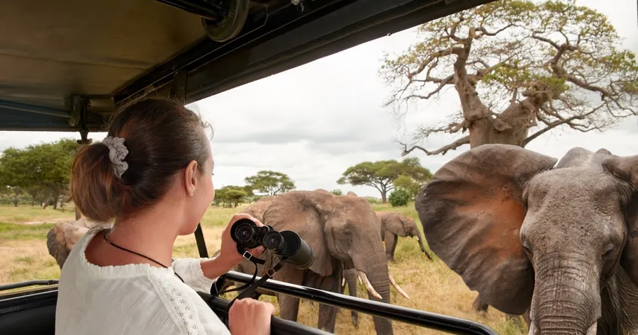 African Safari Tours: An Unforgettable Adventure