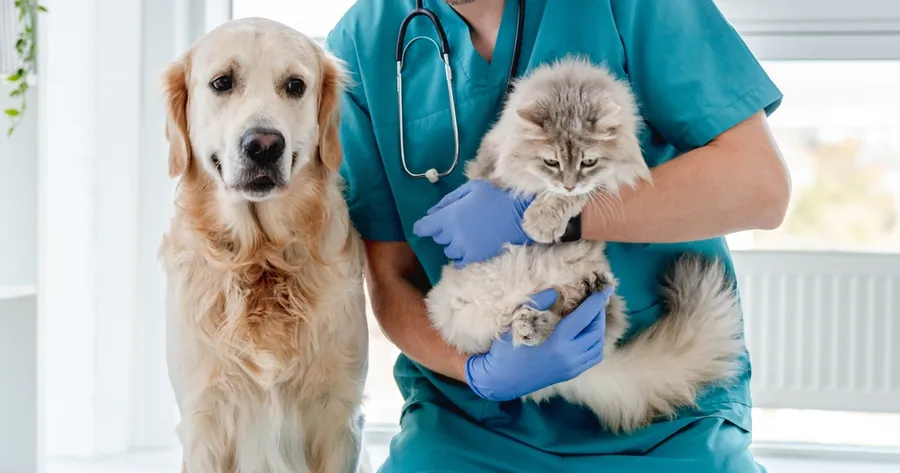 Comprehensive Pet Insurance with Covered Vaccinations