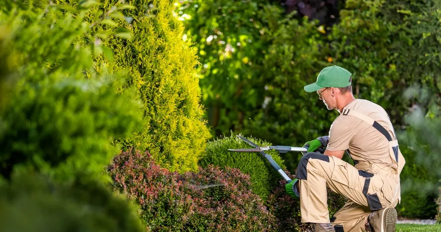 How to Become a Landscaper: Crafting Beauty From the Ground Up