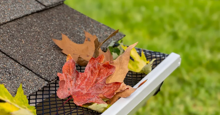Why Leaf Gutter Guards Boost Home Value
