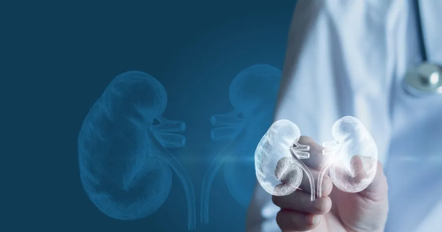 The Early Warning Signs of Kidney Disease: Important to Be on the Lookout For