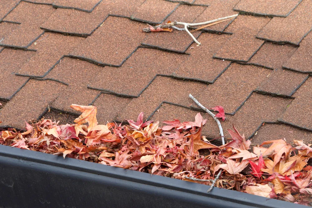 Why Gutter Cleaning is Crucial for Home Maintenance